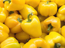 Yellow capsicum